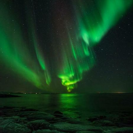 Skrollsvika Adventure Senja 빌라 외부 사진